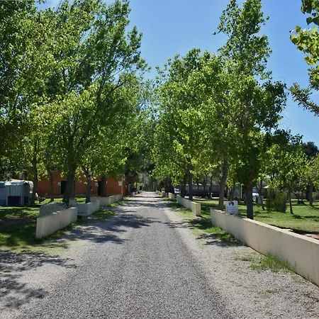 Kamp alanı Sol D'or Peñíscola